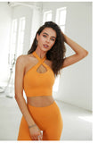 Wholesale Women's Seamless Workout Sets