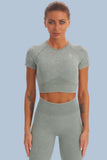 Acid Wash Seamless Short Sleeve Crop Top