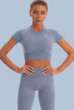 Acid Wash Seamless Short Sleeve Crop Top